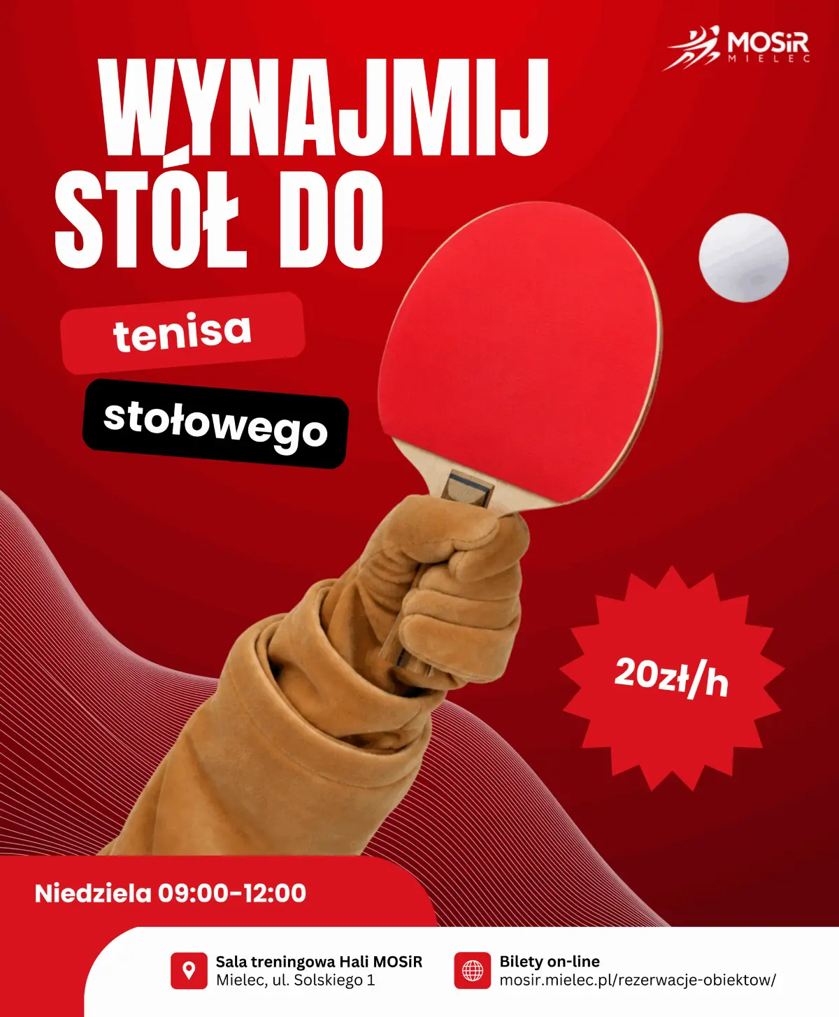 Wynajem stołu do tenisa stołowego w niedzielę
